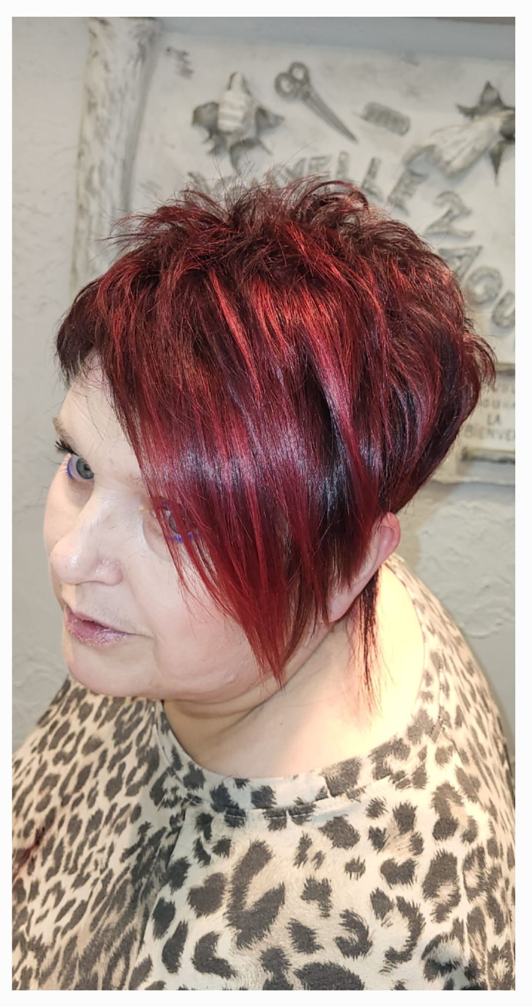 BOOK NOUVELLE VAGUE COIFFURE RELOOKING