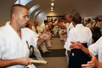 Introducing KOBUDO - hikoryu-taijutsu ページ！日子流体術