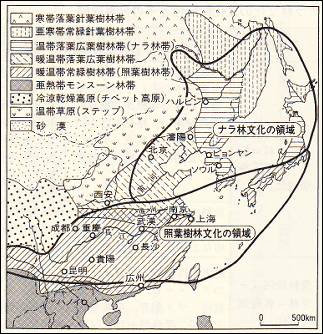 ナラ林文化と照葉樹文化