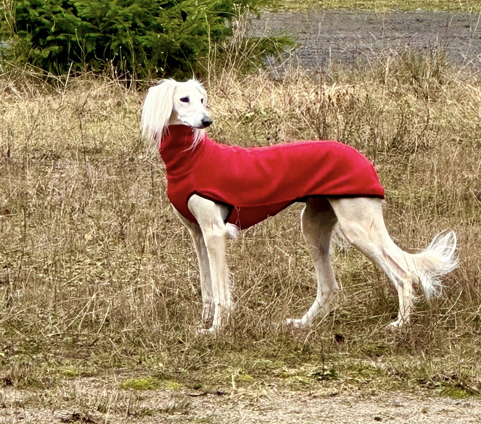 Adventskalender Türchen 13 "Leila"
