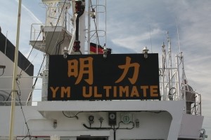 Yang-Ming „Ultimate“