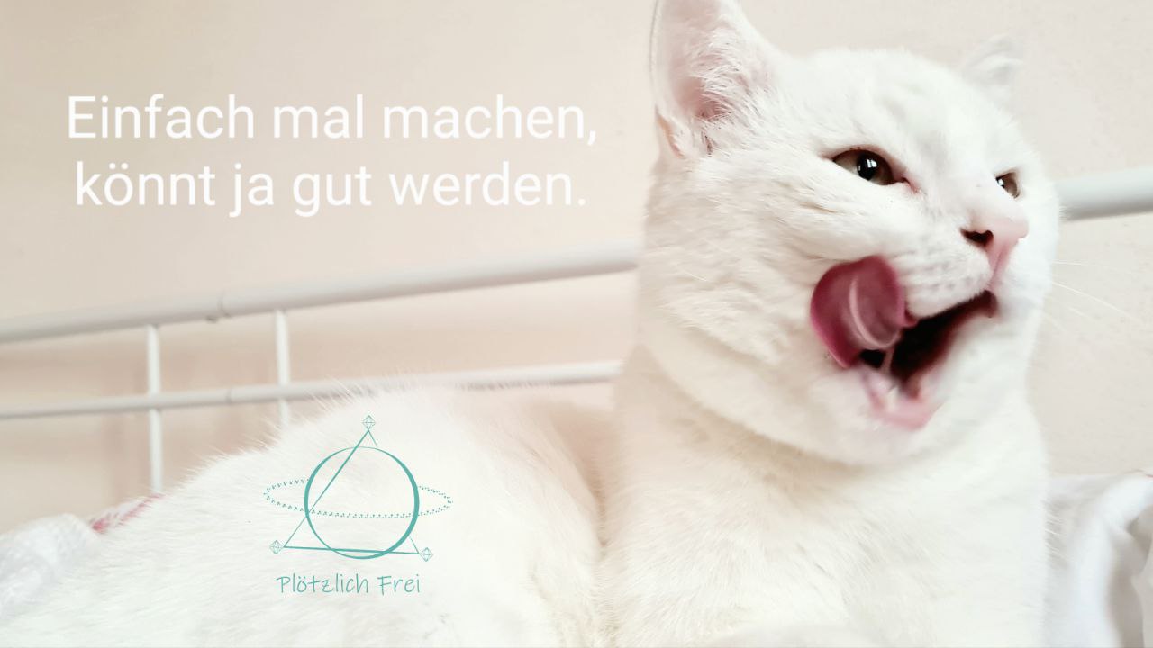 Eine taube Katze zeigte mir, wie man das Leben noch leichter nehmen kann.