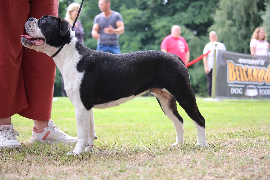 Farbenzauber Hooks on HighHeels *29.11.2024