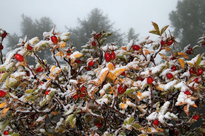 2010-10-17 - Von Mund nach Finnu