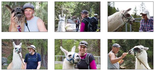 2014-05-25 - Lama Trekking