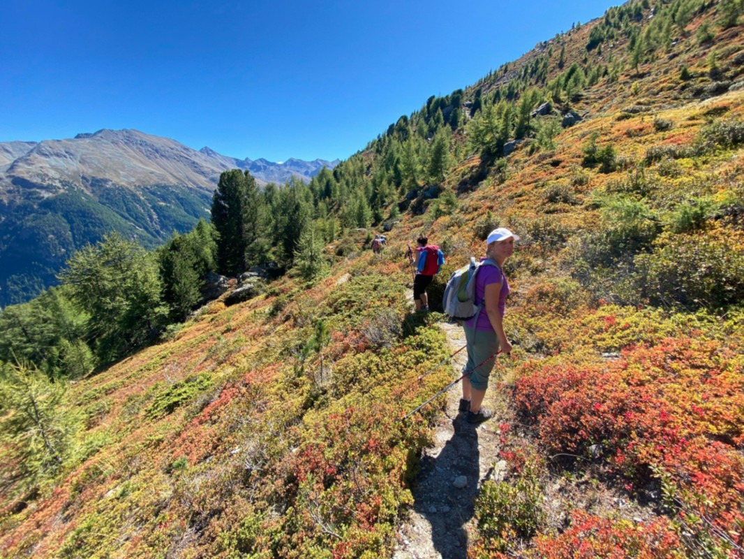 2022-09-11 - Emshorn