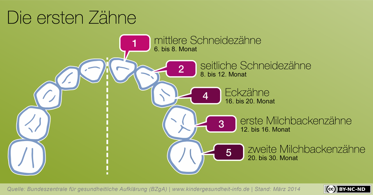 Reinfolge Reinfolge