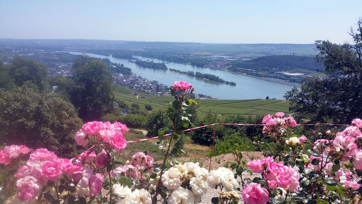 Blick hinunter ins Rheintal