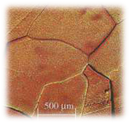 Microestructur of electrofused MgO