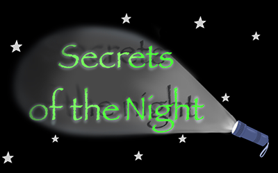 Secrets of the Night - Jugendliche erobern die Nacht