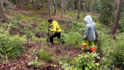 Nachhaltige Berufsintegration: Jugendliche des Zentrums für Brückenangebote engagieren sich im Bergwaldprojekt