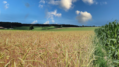 BBZN: Landwirtschaft und Ernährung in Zeiten des (Klima)wandels