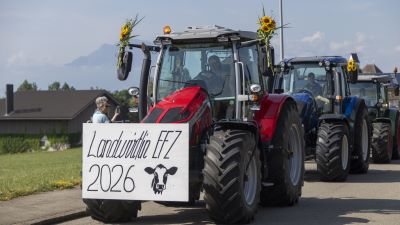 Lehrabschlüsse 2026: Vom Action-Thriller zum Happy End