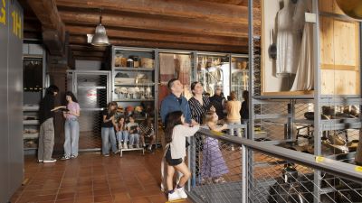 «Sichtbar machen»: Museum Luzern verbindet neu Kunst, Natur und Kultur