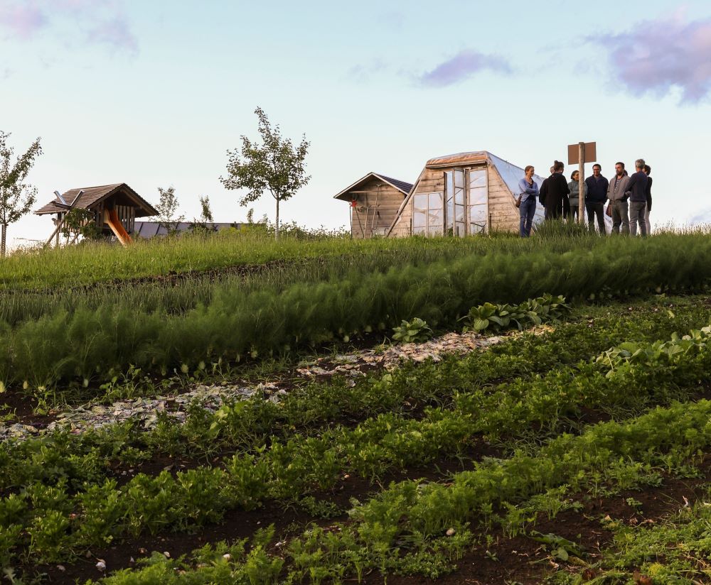 Landwirtinnen und Landwirte erhalten auf dem Feld praxisnahe Tipps für klimafreundlichen Anbau.