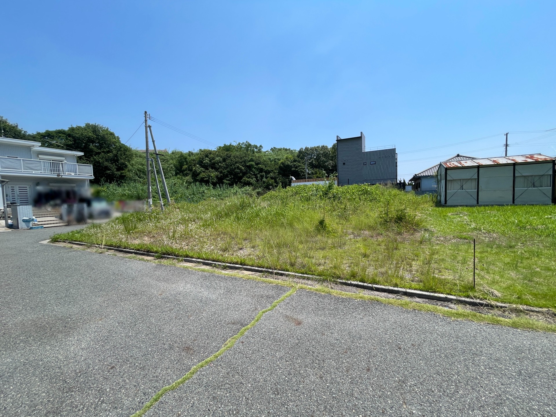 現地写真です。