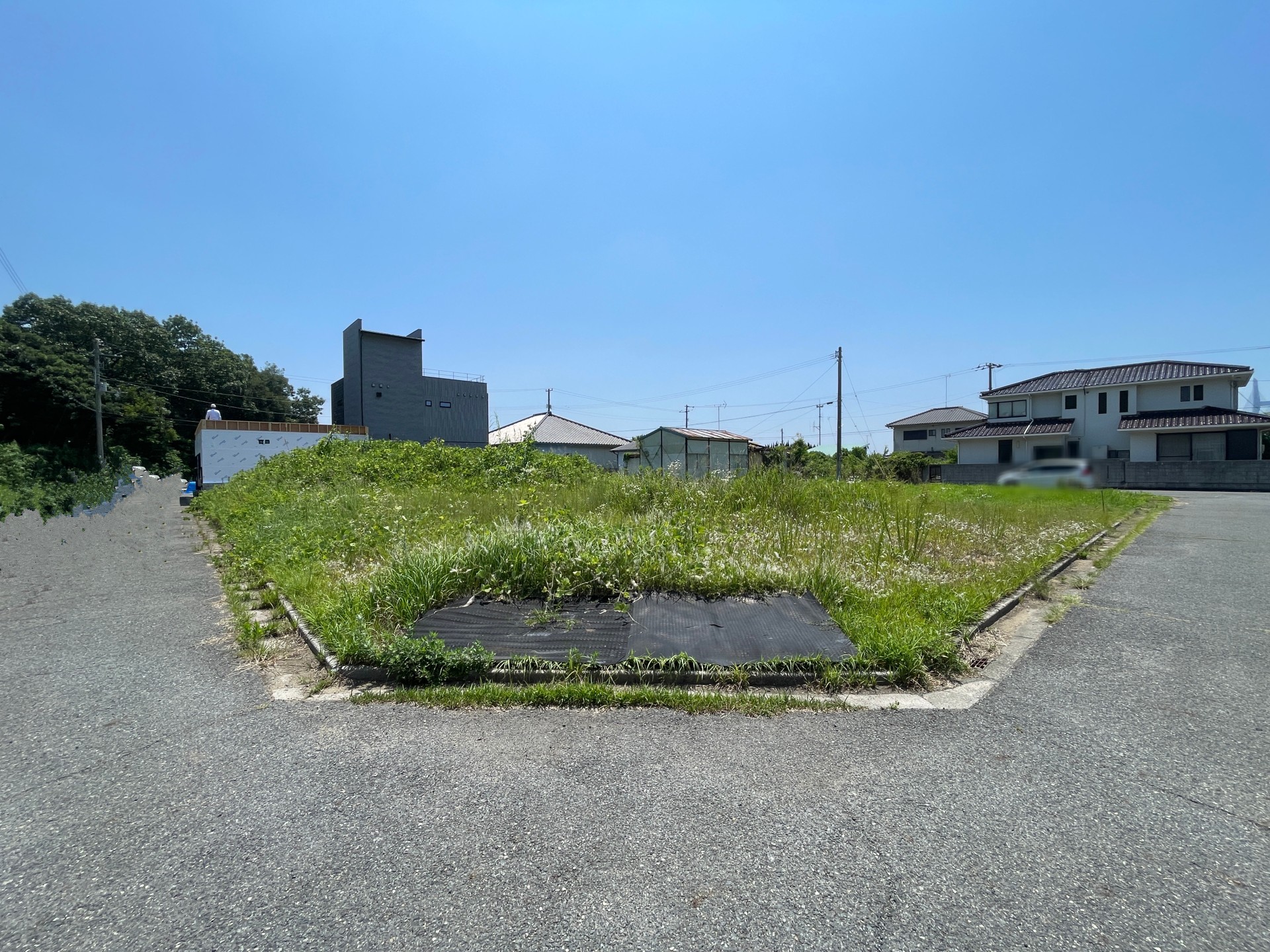 現地写真です。