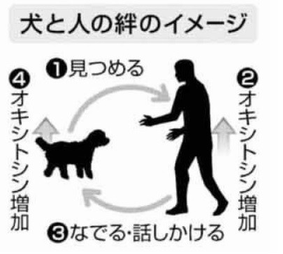 人と犬、母子と同じ絆 - ソワンＳｏｉｎ