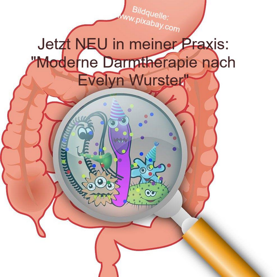 Jetzt NEU: Moderne Darmtherapie nach Evelyn Wurster