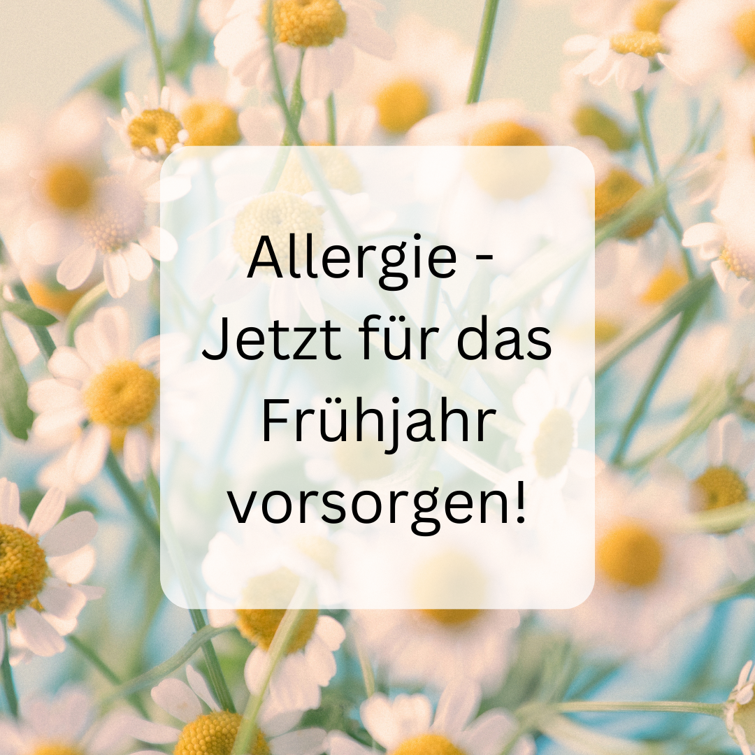 Allergien - Jetzt für das Frühjahr vorsorgen
