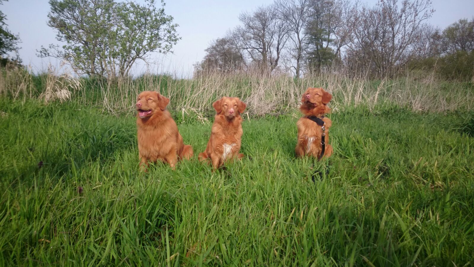 Vater Skeet mit Ivalu und Bruder Chaska