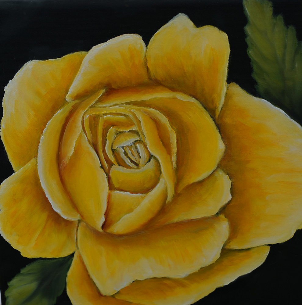 2020 Rose gelb 20 x 20 cm, Öl