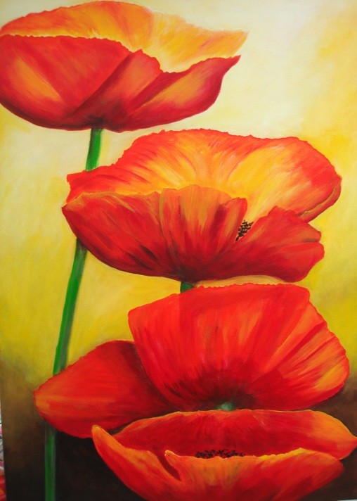 Mohn     2010     50 x 70 cm