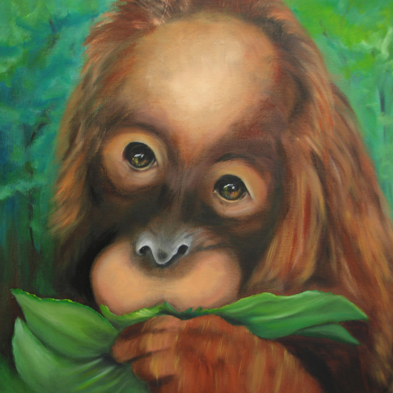 Orang Utan Baby  2011  Öl