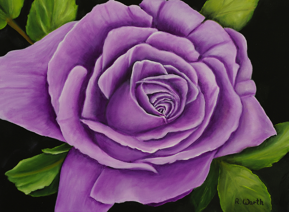 2022 Rose, lila 40 x 40 cm Öl