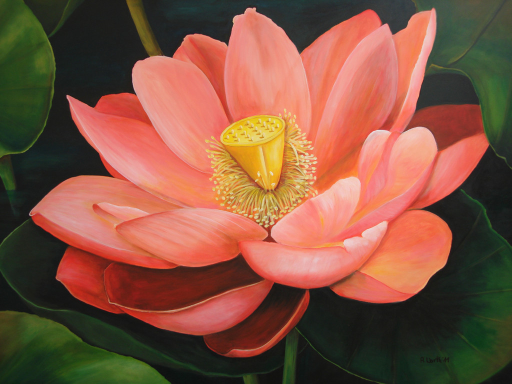 2011     Lotus    100 x 80 cm   Acryl