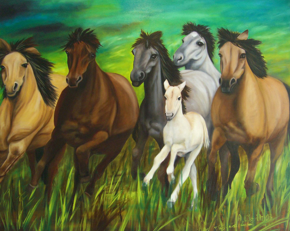 Wildpferde-Przewalski  2003   Öl  100 x 80 cm