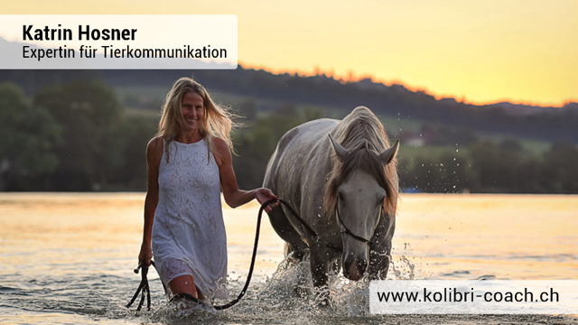 Gesundheitspraxis Katrin Hosner Komplementärtherapie in Herzogenbuchsee 