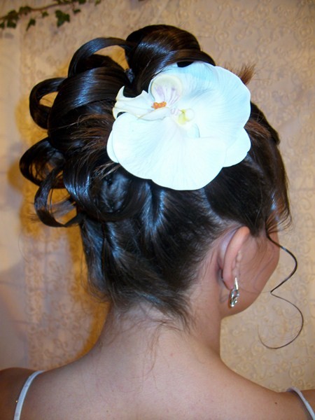  Chignons  Salon  C Tendance Troyes La coiffure avec un  