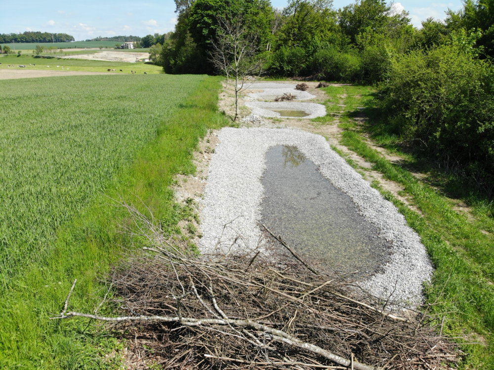2019 neu erstellte Teiche in Räsch