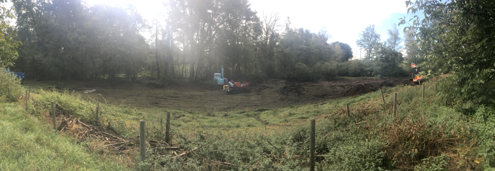 2017 neu erstellte Teiche im Düdingener Moos