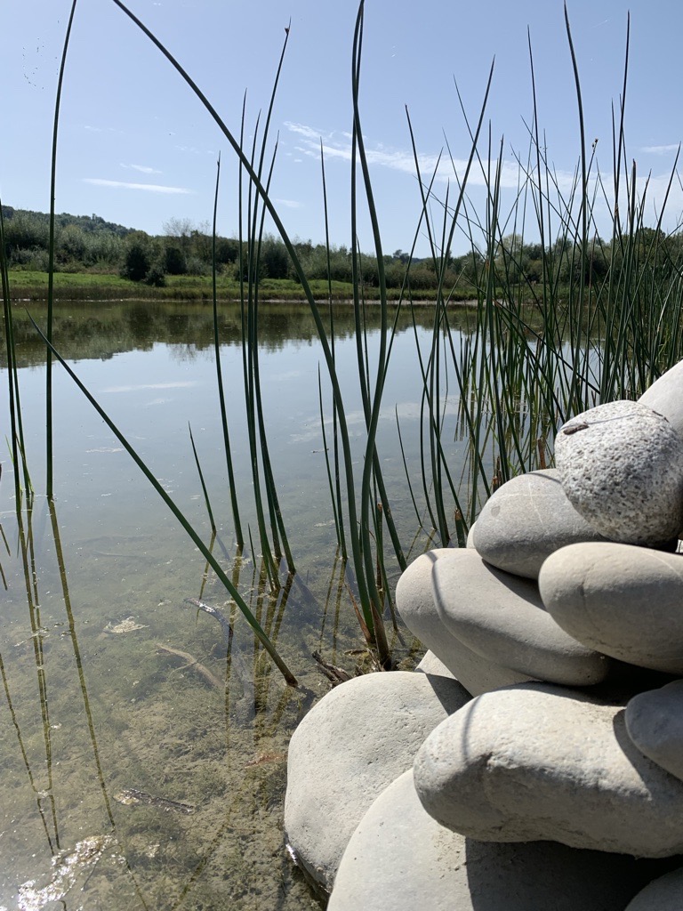 2020 Auried Naturschutzgebiet