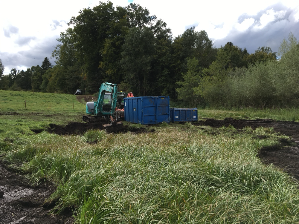 2017 neu erstellte Teiche im Düdingen Moos