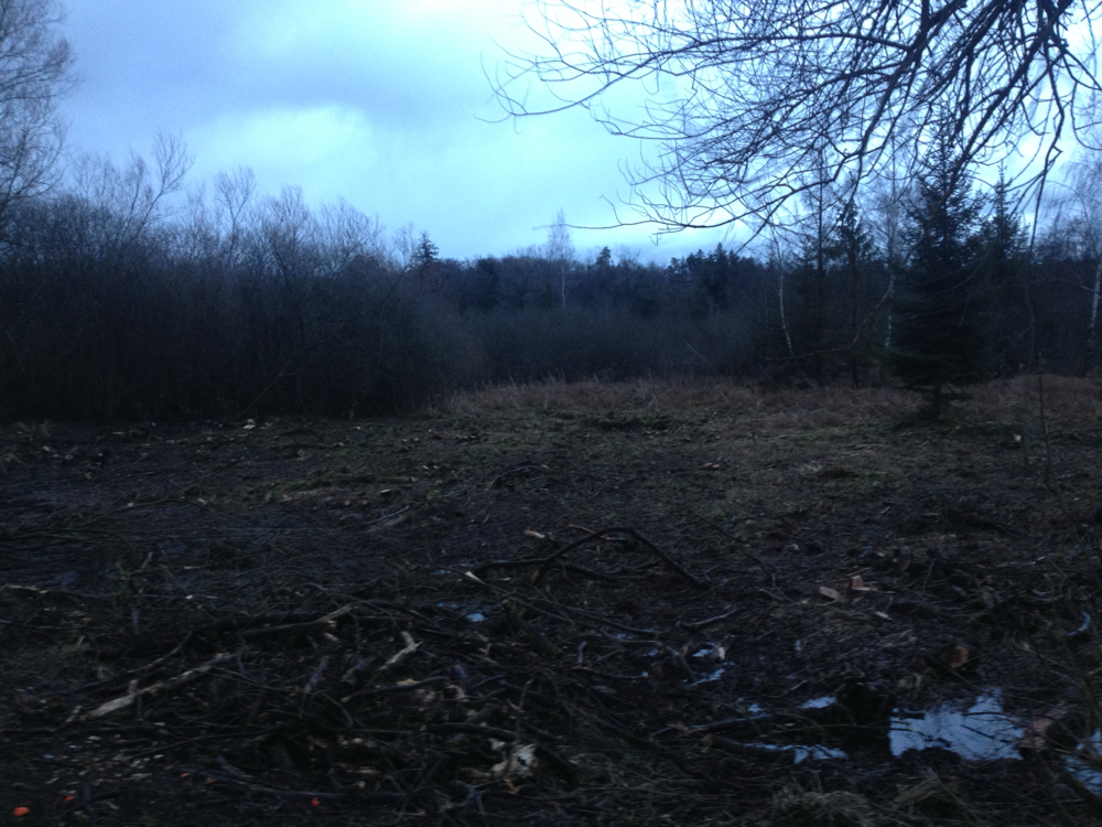 2015 Entbuschung Waldeggmoor