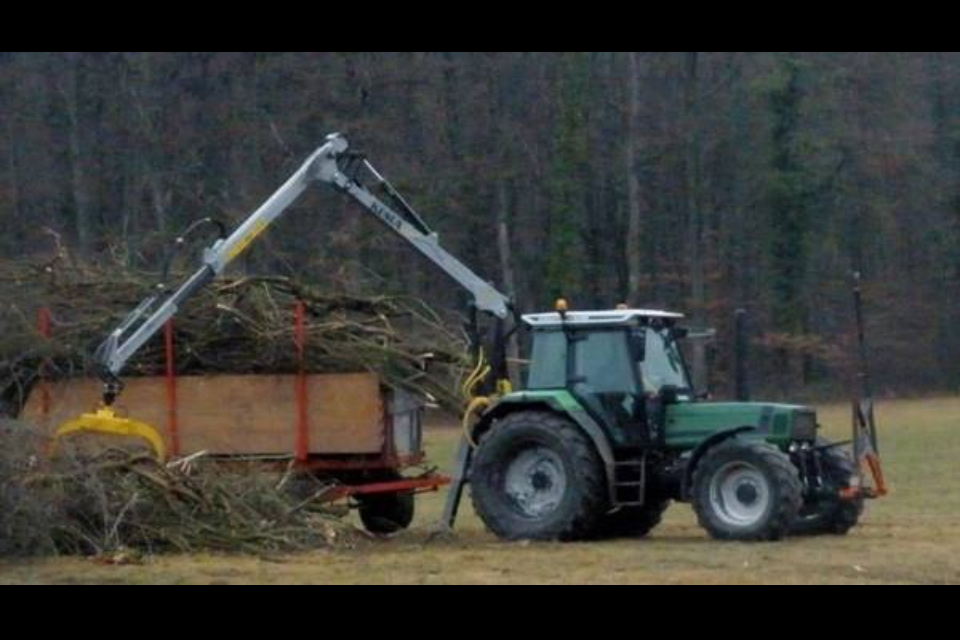 2015 Entbuschung Waldeggmoos