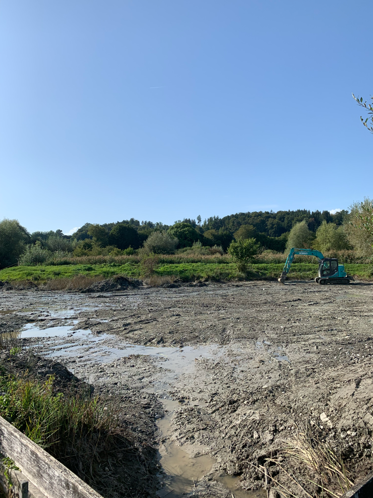  2019 Teich Sanierungen im Auried Naturschutzgebiet