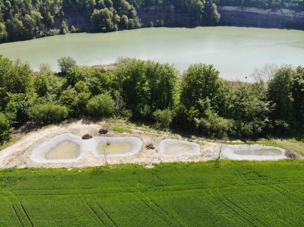 2019 neu erstellte Teiche in Räsch