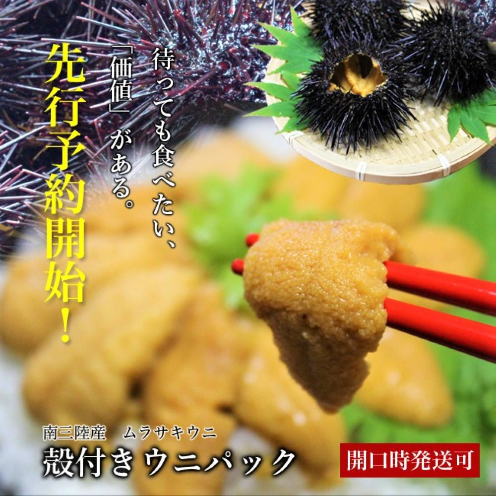 今季販売終了】丸ごと殻付きウニパック (約8個・1kg前後、送料無料