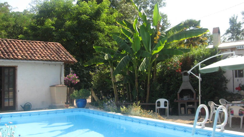 les bananiers