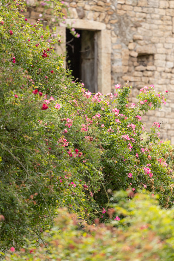 © Sibylle Pietrek 2019_Giardino-Ninfa-Italien_190528_1575