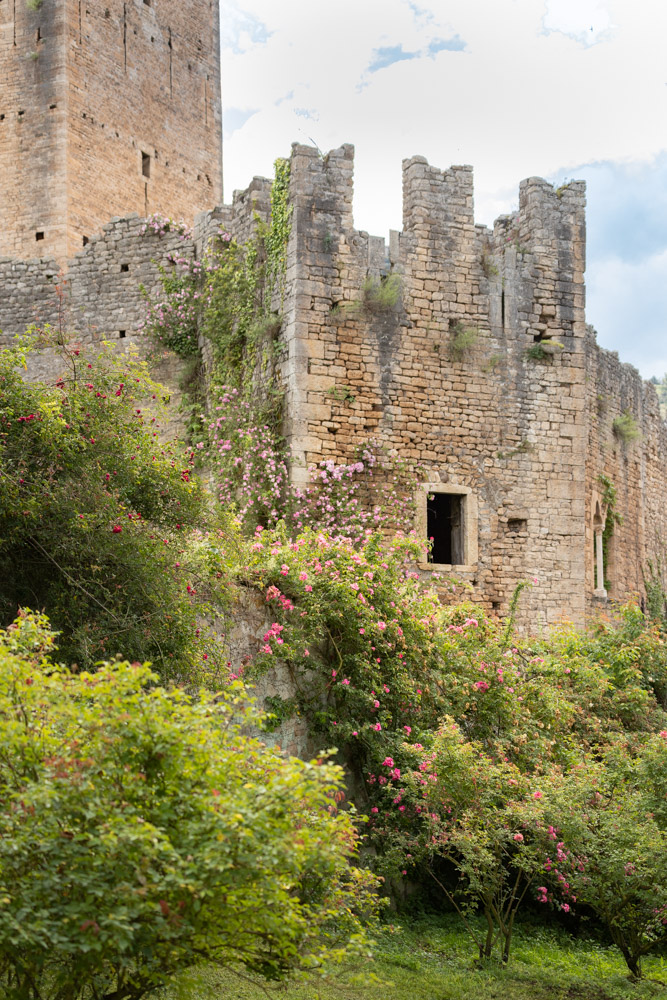 © Sibylle Pietrek 2019_Giardino-Ninfa-Italien_190528_1574