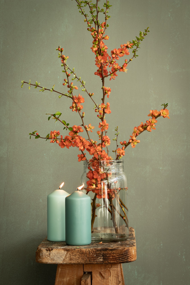 ©sibyllepietrek_photographin-Chaenomeles