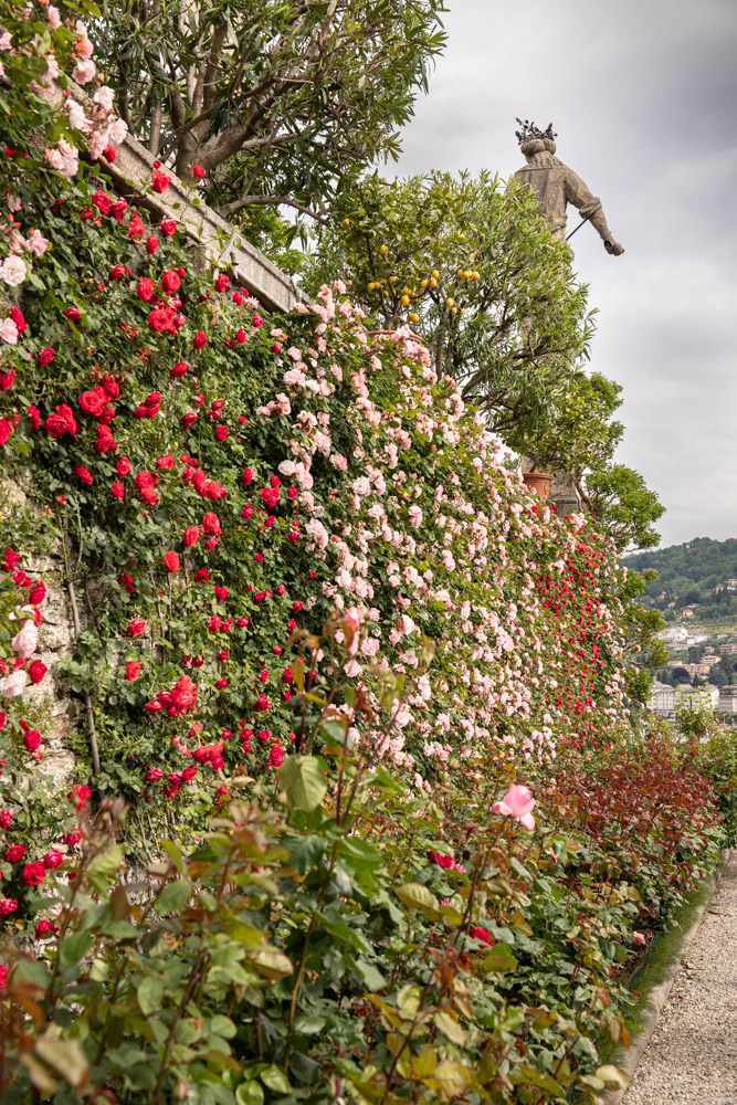 © Sibylle Pietrek 2019_Isola-Bella_Lago-Maggiore_Italien_190512_360.jpg