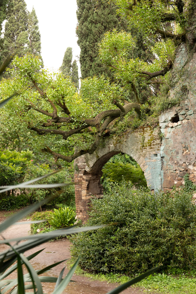 © Sibylle Pietrek 2019_Giardino-Ninfa-Italien_190527_1217