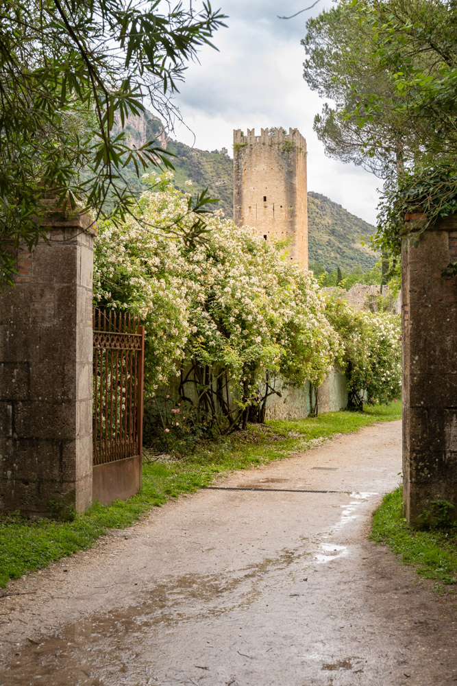 © Sibylle Pietrek 2019_Giardino-Ninfa-Italien_190527_1140