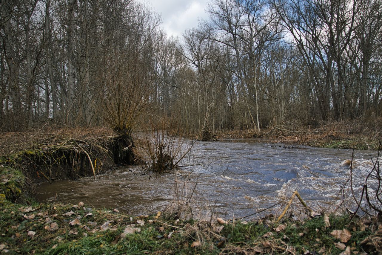 Hochwasser an der Apfelstädt